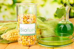 Primrose biofuel availability